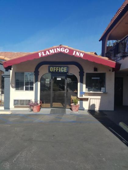 Flamingo Inn - image 13
