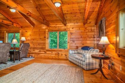 Private Mountaintop Cabin - image 13