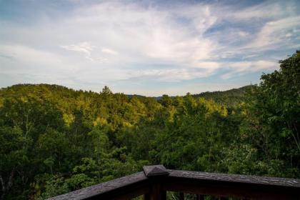 Private Mountaintop Cabin - image 14