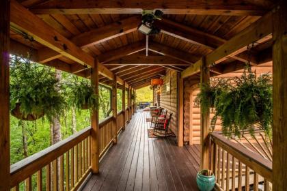 Private Mountaintop Cabin - image 15