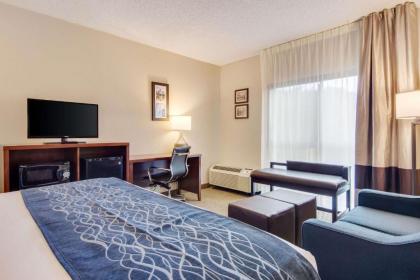 Comfort Inn - image 15