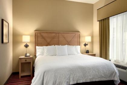 Homewood Suites by Hilton Austin/Round Rock - image 5