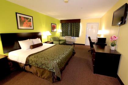 Best Western Round Rock - image 12