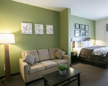Sleep Inn and Suites Round Rock - Austin North - image 8