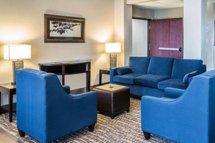 Comfort Suites Round Rock - Austin North I-35 - image 13