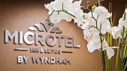 Microtel Inn & Suites by Wyndham Round Rock - image 3
