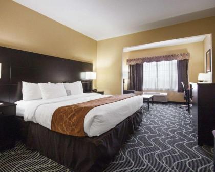 Comfort Suites Lake Ray Hubbard - image 13