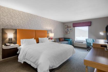 Hampton Inn & Suites Ruidoso Downs - image 2