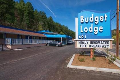 Budget Lodge - image 2