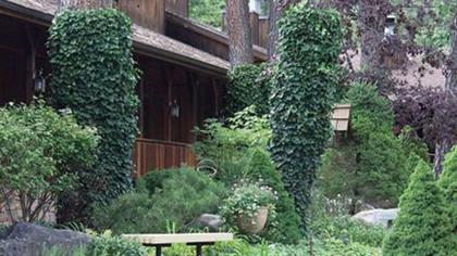 Shadow Mountain Lodge and Cabins - image 15