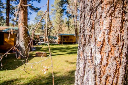 Ruidoso Lodge Cabin # 6 - image 4