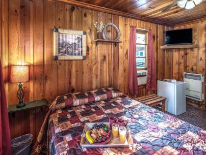 Apache Village 1 Queen Bed Midtown Pet Friendly Sleeps 2 - image 2