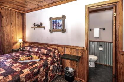 Apache Village 9 Queen Bed Midtown Pet Friendly Sleeps 2 - image 8