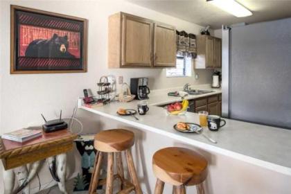 Mama Bear's Den 2 Bedrooms Sleeps 6 Wood Stove Gas Grill WiFi - image 4