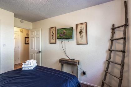 Remember the Alamo 3 Bedrooms Sleeps 6 Pet Friendly Fenced Yard - image 15