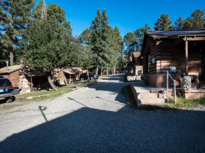 Windchaser 1 Bedroom Wood Burning Stove Midtown Sleeps 3 - image 17