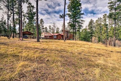 Unique Bear Country Cabin in Ruidoso with Hot Tub! - image 13