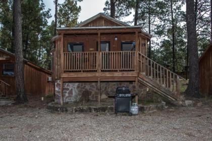 Aloft Cabin 1 Bedroom 1 Loft Midtown Sleeps 6 - image 10