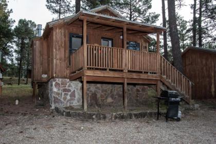 Aloft Cabin 1 Bedroom 1 Loft Midtown Sleeps 6 - image 8