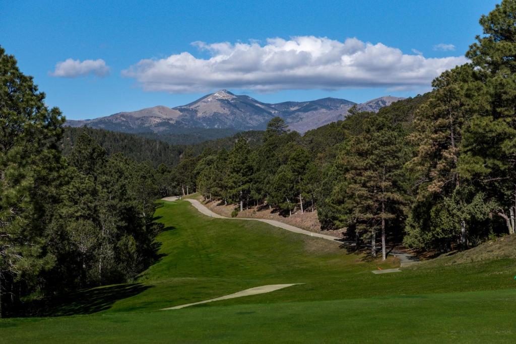 Pinon Park B2 2 BRs Hot Tub Pets Welcome WiFi Sleeps 6 - image 2