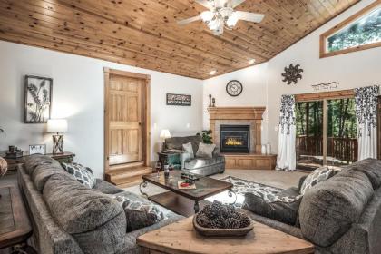 Shady Pines 3 BRs Game Room Fireplace Wifi Sleeps 12 - image 3