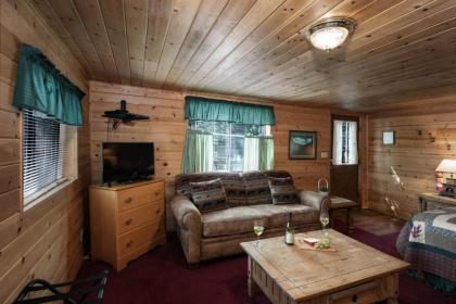 Cozy Bear 4 Studio Fireplace Downtown Sleeps 4 - image 3