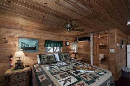 Cozy Bear 4 Studio Fireplace Downtown Sleeps 4 - image 7