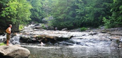 D Acres Farm - Campground - image 7