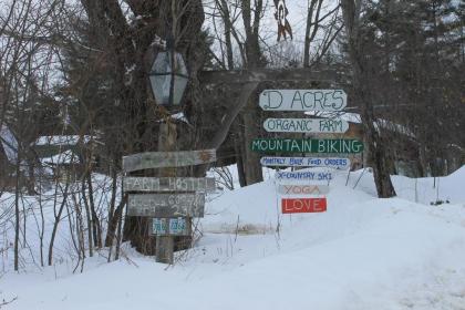D Acres Farm - Campground - image 8
