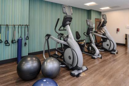 Holiday Inn Express & Suites - Ruskin an IHG Hotel - image 2