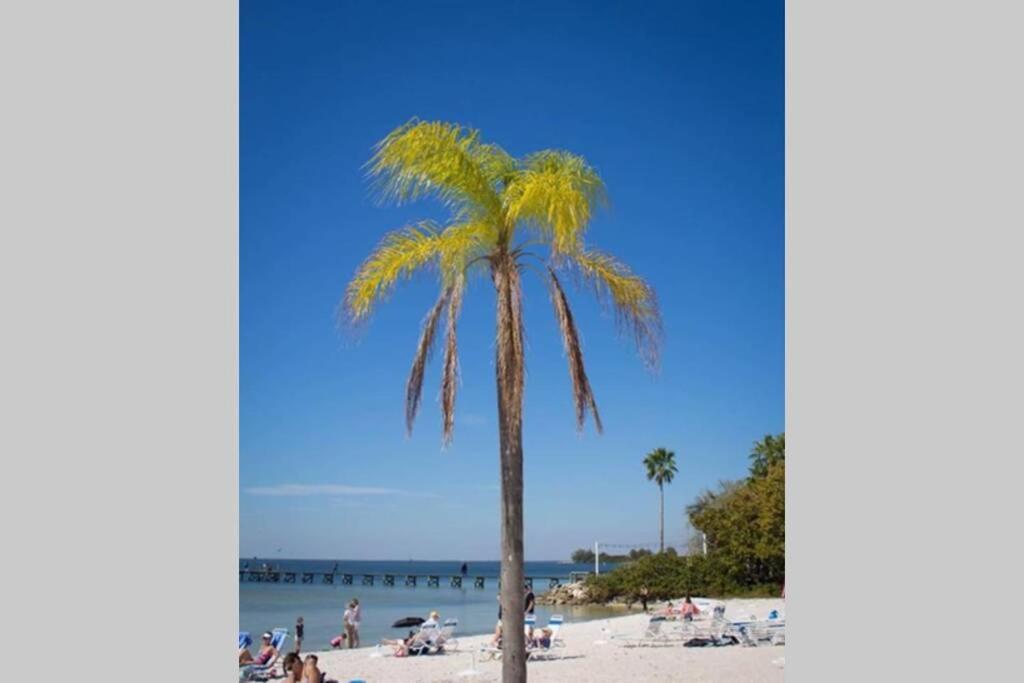 Riverview Studio 507 Beach steps away!+pool+WiFi - image 2