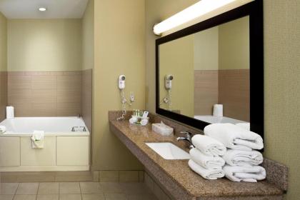 Holiday Inn Express Hotel & Suites Saginaw an IHG Hotel - image 17