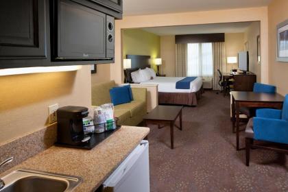 Holiday Inn Express Hotel & Suites Saginaw an IHG Hotel - image 19