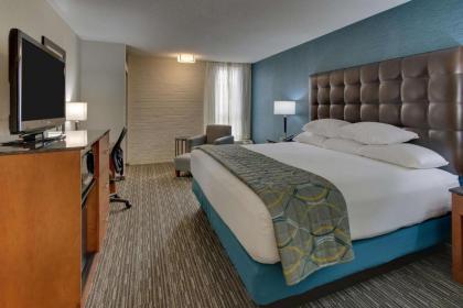 Pear Tree Inn St. Louis Airport - image 10
