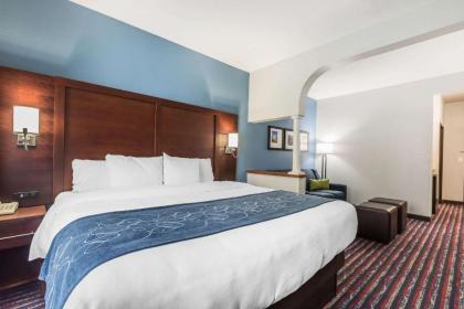 Comfort Suites St Charles-St Louis - image 9