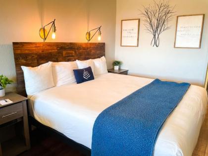 Budget Lodging by Pinemark - image 14