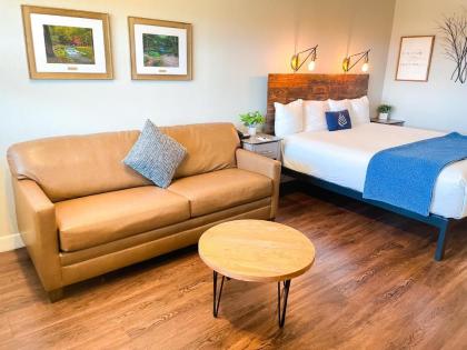 Budget Lodging by Pinemark - image 15