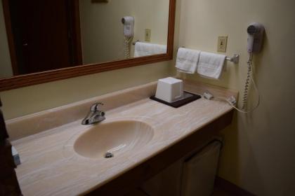 AmeriVu Inn & Suites - St Croix Falls - image 6
