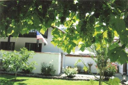 Spanish Villa Inn - image 18