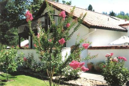 Spanish Villa Inn - image 3