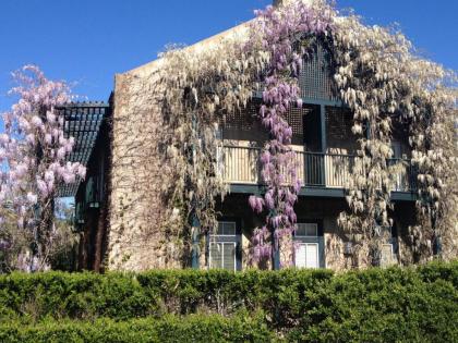 Southbridge Napa Valley - image 15