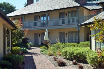 Vineyard Country Inn - image 12