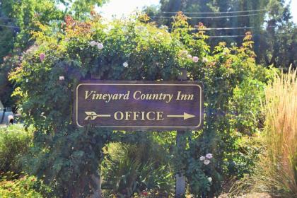 Vineyard Country Inn - image 14