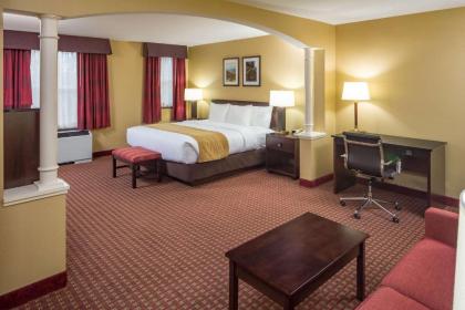 Comfort Inn & Suites Near Burke Mountain - image 9