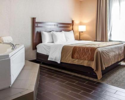 Comfort Inn St Louis – Westport - image 4