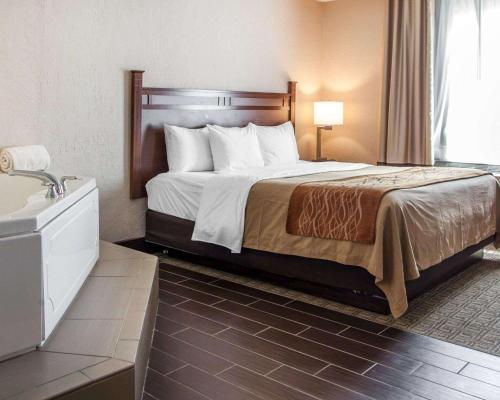 Comfort Inn St Louis – Westport - image 4