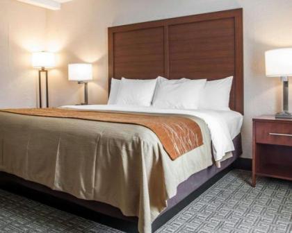 Comfort Inn St Louis – Westport - image 5