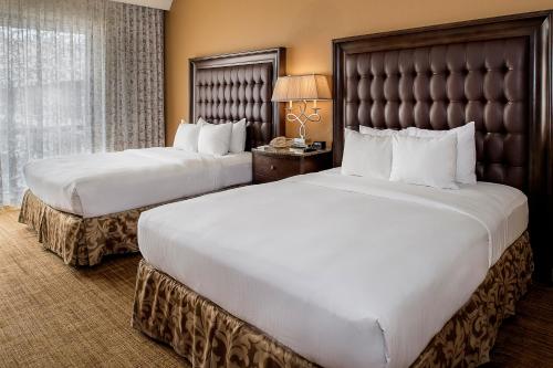Hilton St. Louis Airport - image 4