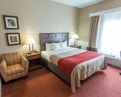 Comfort Inn New Orleans Airport South - image 3