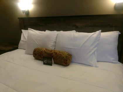 The Stables Inn & Suites - image 8